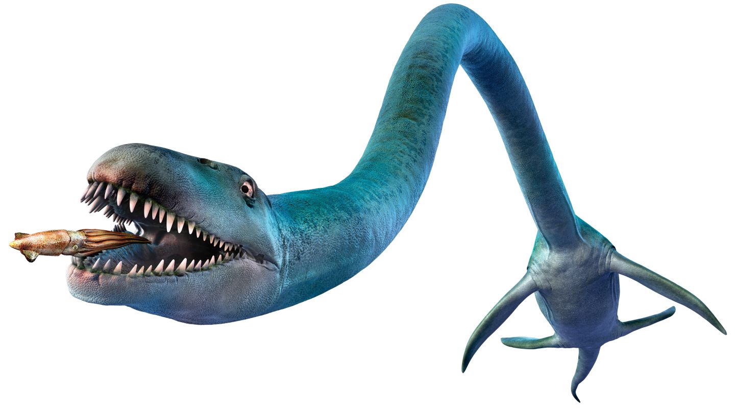 plesiosaur a dinosaur