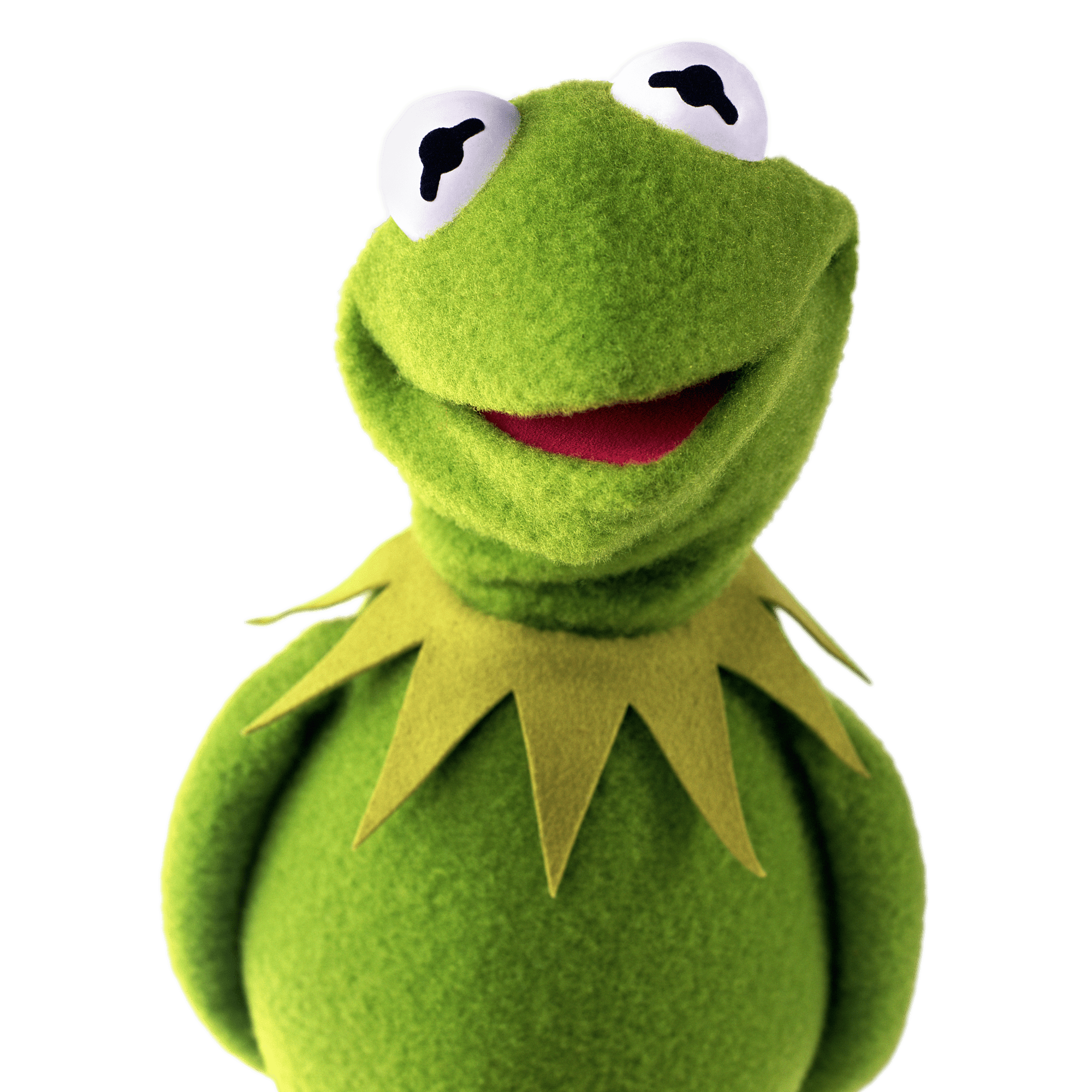 nuimo kermit