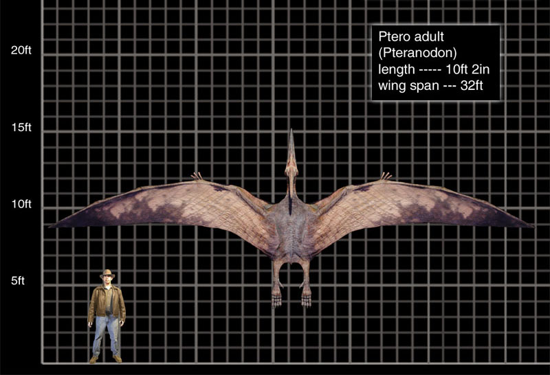 jurassic park 3 pterodactyl